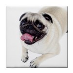 Pug Dog Tile Coaster