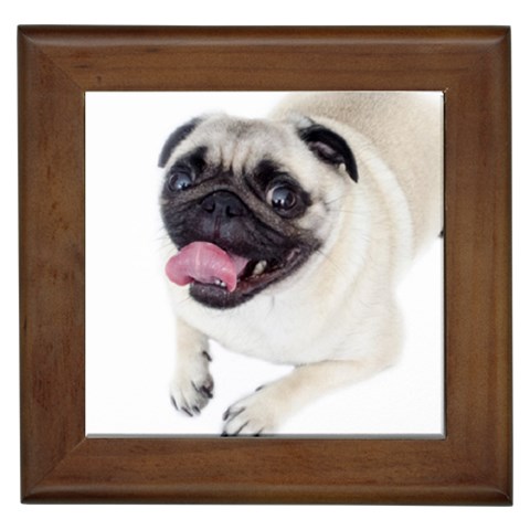 Pug Dog Framed Tile from ArtsNow.com Front