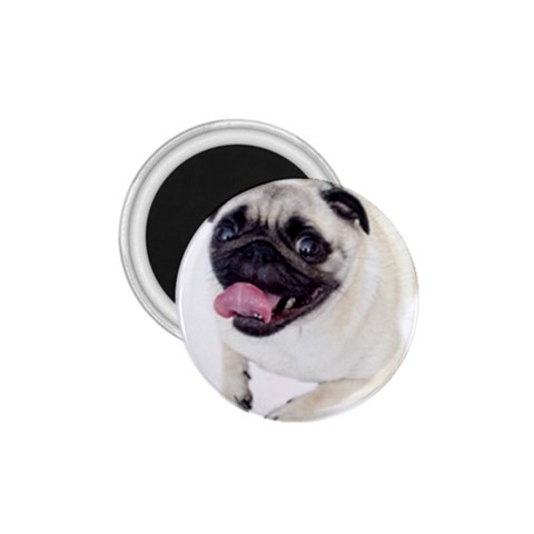 Pug Dog 1.75  Magnet from ArtsNow.com Front