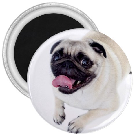 Pug Dog 3  Magnet from ArtsNow.com Front