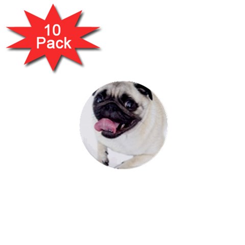 Pug Dog 1  Mini Button (10 pack)  from ArtsNow.com Front