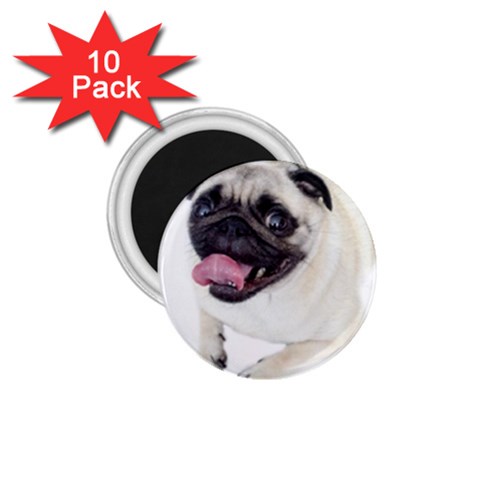 Pug Dog 1.75  Magnet (10 pack)  from ArtsNow.com Front