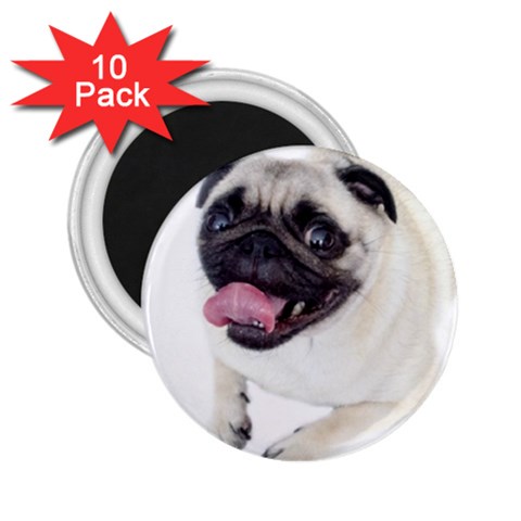 Pug Dog 2.25  Magnet (10 pack) from ArtsNow.com Front