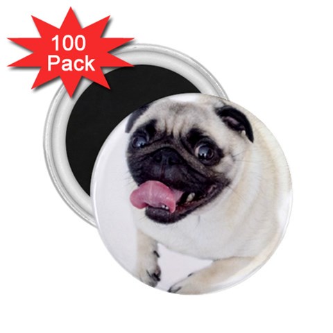 Pug Dog 2.25  Magnet (100 pack)  from ArtsNow.com Front