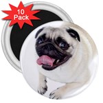 Pug Dog 3  Magnet (10 pack)