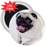 Pug Dog 3  Magnet (100 pack)
