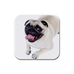 Pug Dog Rubber Square Coaster (4 pack)