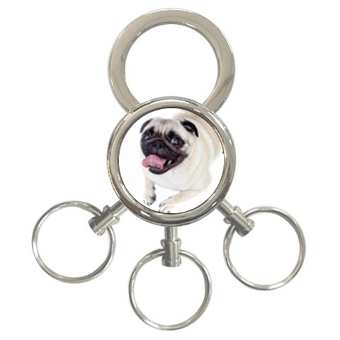Pug Dog 3 Front