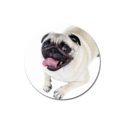 Pug Dog Magnet 3  (Round) from ArtsNow.com Front