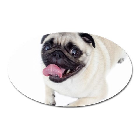 Pug Dog Magnet (Oval) from ArtsNow.com Front