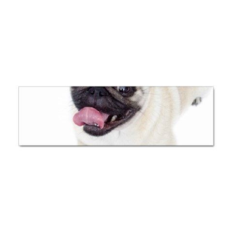 Pug Dog Sticker Bumper (10 pack) from ArtsNow.com Front