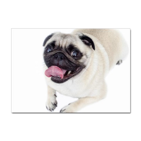 Pug Dog Sticker A4 (100 pack) from ArtsNow.com Front