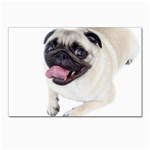 Pug Dog Postcard 4  x 6 
