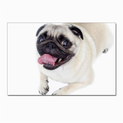 Pug Dog Postcard 4 x 6  (Pkg of 10) from ArtsNow.com Front
