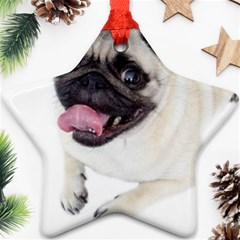 Pug Dog Star Ornament (Two Sides) from ArtsNow.com Back