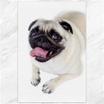Pug Dog Canvas 24  x 36 