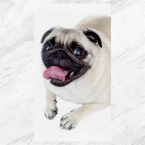 Pug Dog Canvas 40  x 72  from ArtsNow.com 39.28 x69.23  Canvas - 1