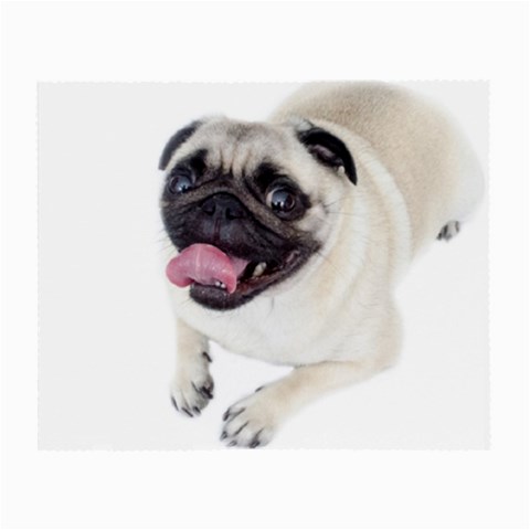 Pug Dog Small Glasses Cloth (2 Sides) from ArtsNow.com Front