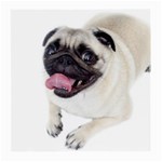 Pug Dog Medium Glasses Cloth (2 Sides)