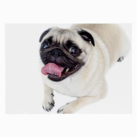 Pug Dog Large Glasses Cloth (2 Sides) from ArtsNow.com Front
