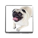Pug Dog Memory Card Reader (Square)