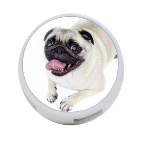 Pug Dog 4 Front