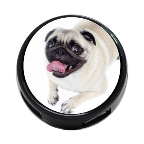 Pug Dog 4 Back