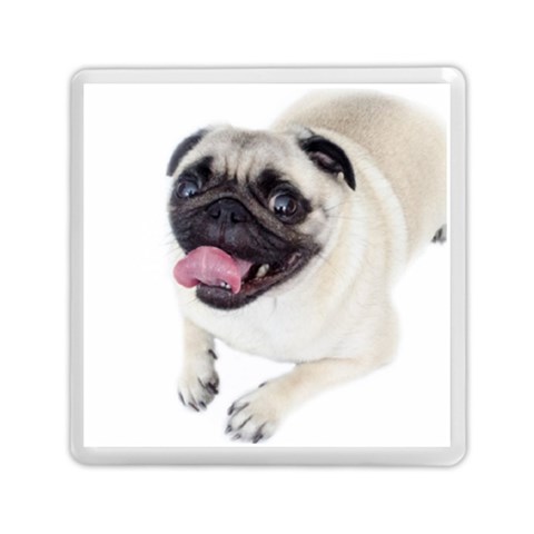 Pug Dog Memory Card Reader (Square) from ArtsNow.com Front