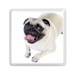 Pug Dog Memory Card Reader (Square)
