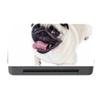 Pug Dog Memory Card Reader with CF