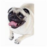 Pug Dog Large Garden Flag (Two Sides)