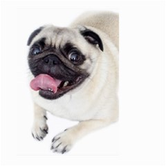 Pug Dog Large Garden Flag (Two Sides) from ArtsNow.com Back