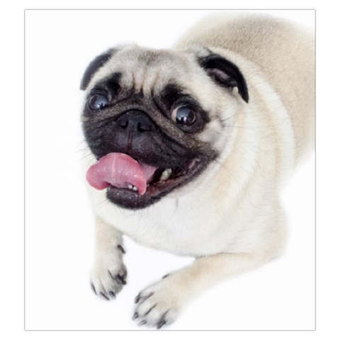 Pug Dog Drawstring Pouch (Large) from ArtsNow.com Front