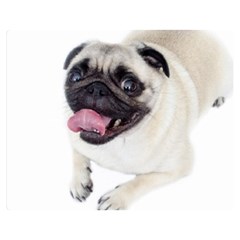 Pug Dog Double Sided Flano Blanket (Medium) from ArtsNow.com 60 x50  Blanket Back
