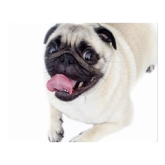 Pug Dog Double Sided Flano Blanket (Large) from ArtsNow.com Blanket Back
