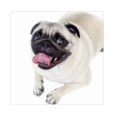 Pug Dog Duvet Cover (Full/ Double Size) from ArtsNow.com Front
