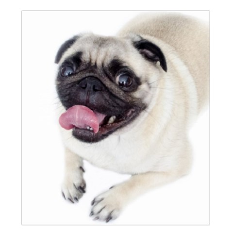 Pug Dog Duvet Cover (King Size) from ArtsNow.com Duvet Quilt