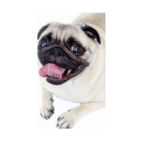 Pug Dog Duvet Cover Double Side (Single Size) from ArtsNow.com Front