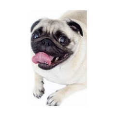 Pug Dog Duvet Cover Double Side (Single Size) from ArtsNow.com Back
