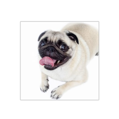 Pug Dog Satin Bandana Scarf from ArtsNow.com Front