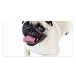 Pug Dog Satin Shawl