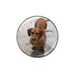 Weiner Dog Hat Clip Ball Marker