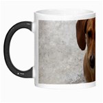 Weiner Dog Morph Mug