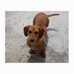 Weiner Dog Small Glasses Cloth