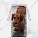 Weiner Dog Jewelry Bag
