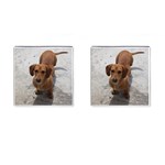 Weiner Dog Cufflinks (Square)
