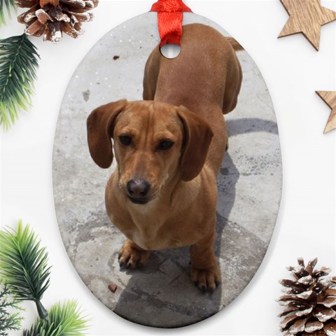 Weiner Dog Oval Ornament (Two Sides) from ArtsNow.com Front