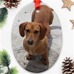 Weiner Dog Oval Ornament (Two Sides)