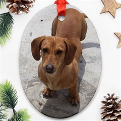 Weiner Dog Oval Ornament (Two Sides) from ArtsNow.com Back