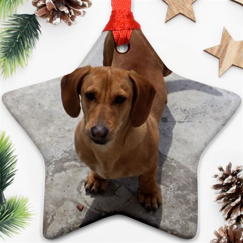 Weiner Dog Star Ornament (Two Sides) from ArtsNow.com Front
